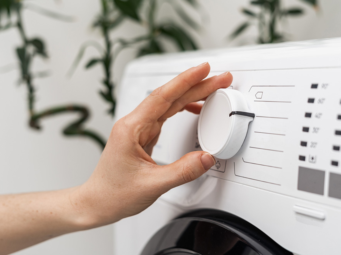 Hausgeräte bei Muster Elektro in Musterstadt